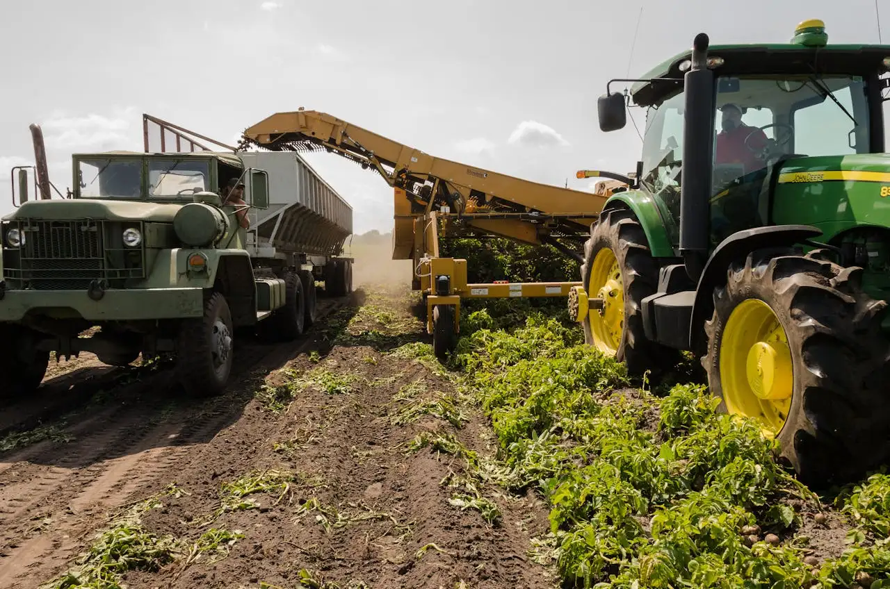 California Farmland: The Largest Food Producer In The US