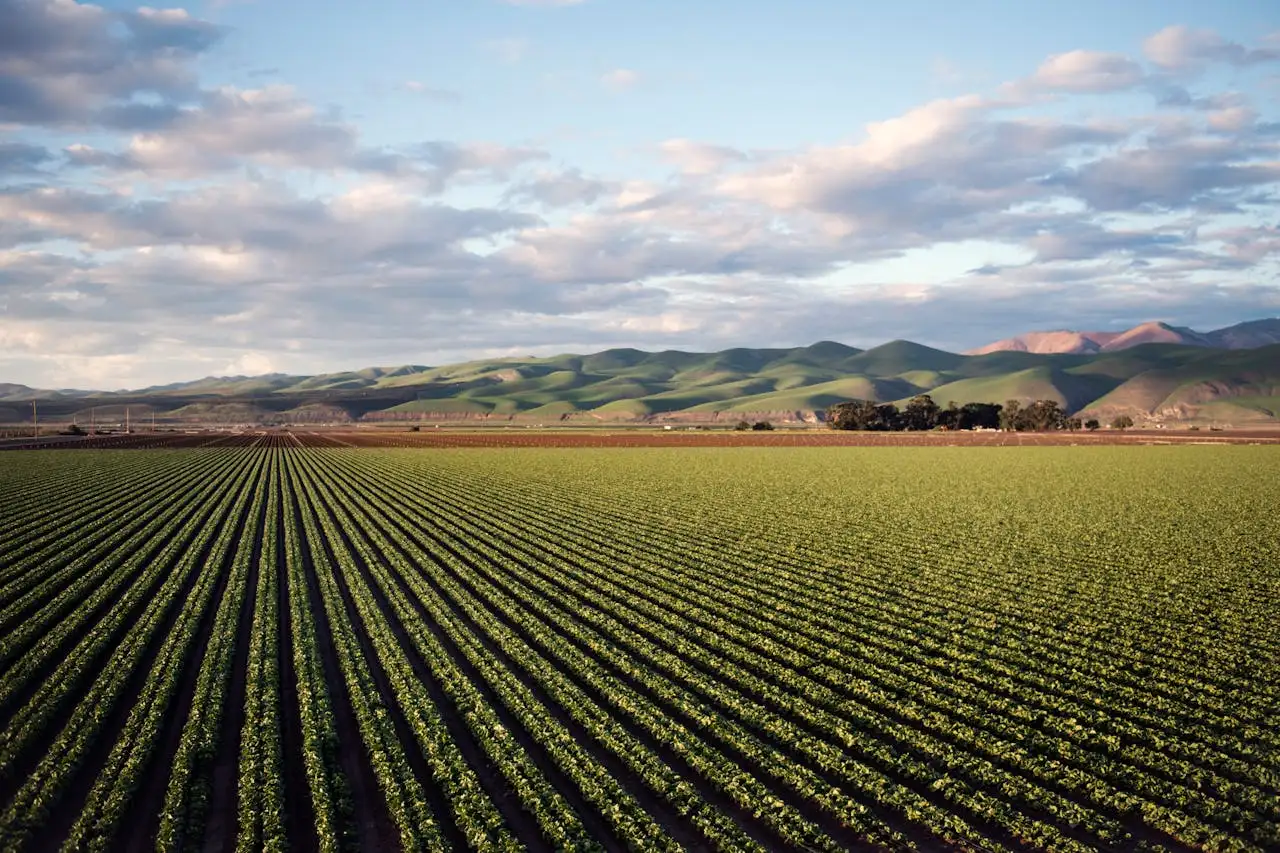 Forestland Invest: Largest Booked Land to Plant